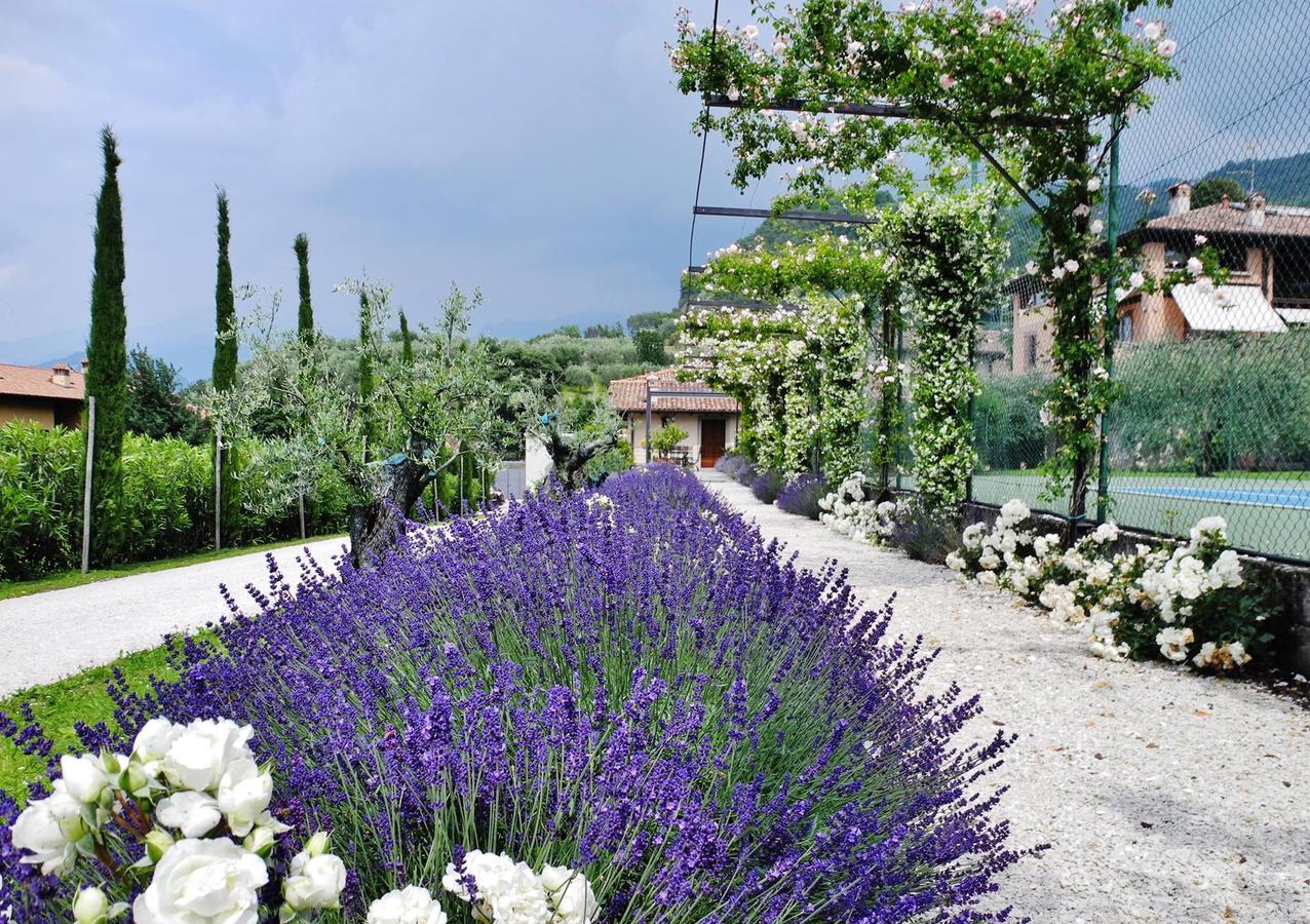 Miramonti Bed & Breakfast Iseo Eksteriør bilde